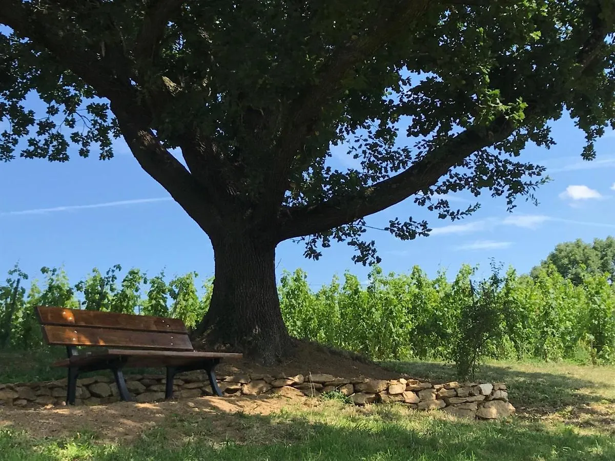 Le Domaine De Gorneton Bed & Breakfast Chasse-sur-Rhone