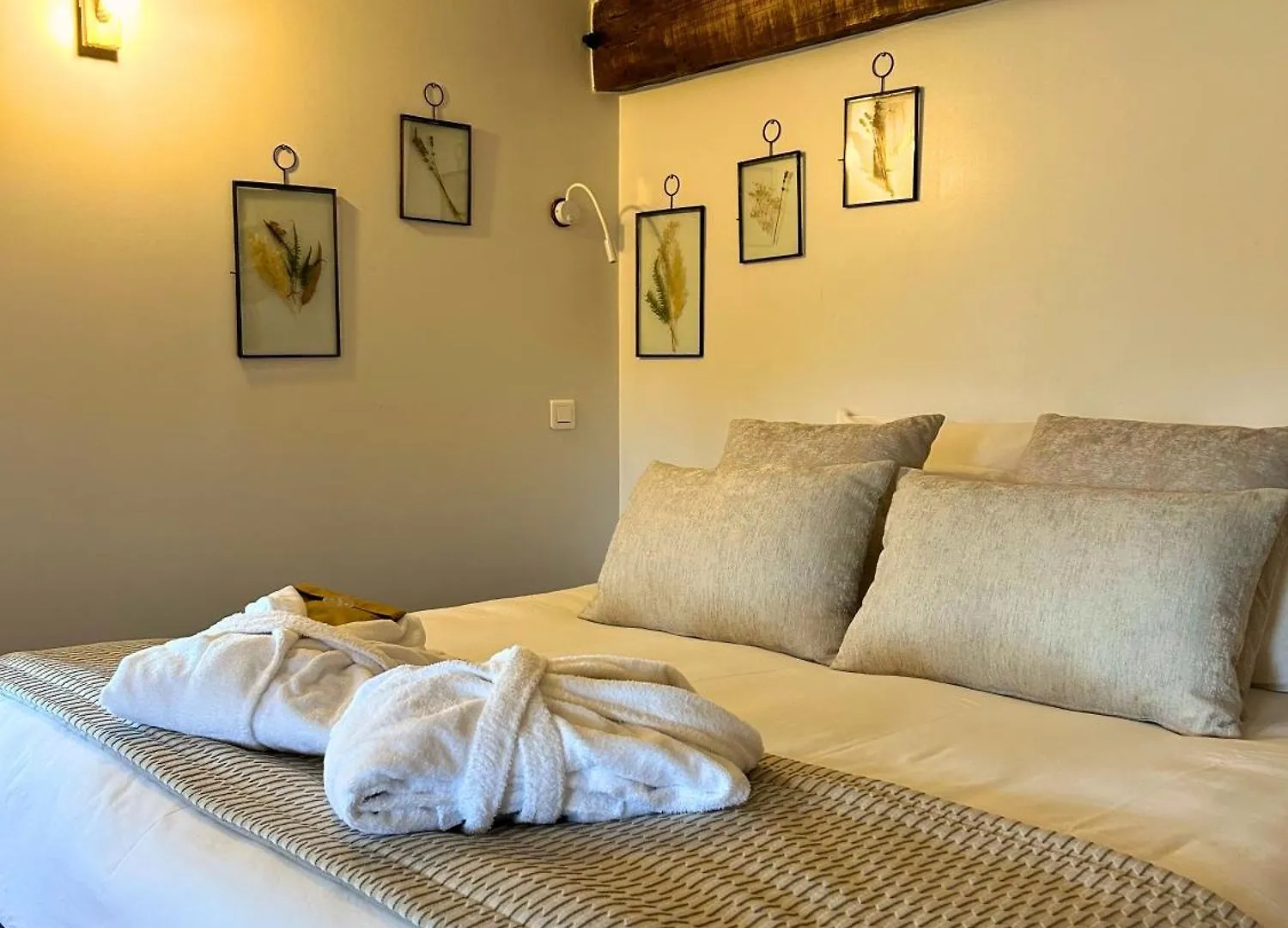 Le Domaine De Gorneton Bed & Breakfast Chasse-sur-Rhone